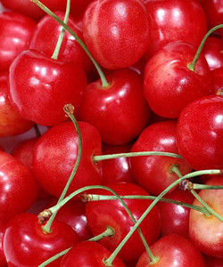 先鋒櫻桃 先鋒櫻桃