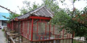 河口軍馬場農博園 河口軍馬場農博園