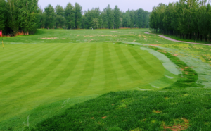 冠景國際旅遊度假中心