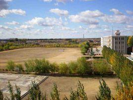 景星鎮中心學校 景星鎮中心學校