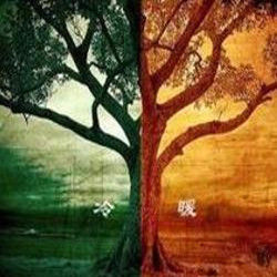 對立統一規律 對立統一規律