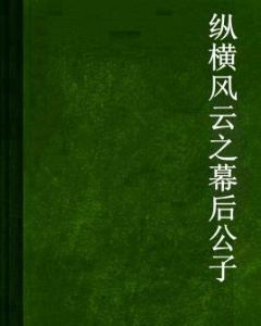 縱橫風雲之幕後公子