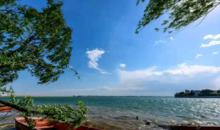 平頂山新城區[河南省平頂山市新城區]