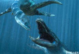 掠食者x 掠食者x