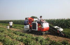 石蓮子鎮 石蓮子鎮