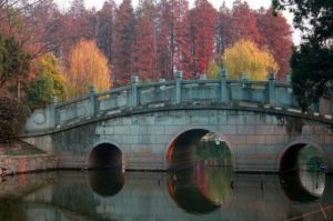 浦口公園 浦口公園