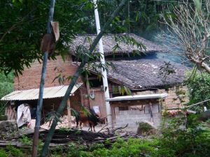 西科目自然村 西科目自然村