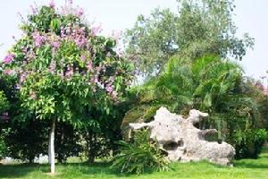 英德英石 英德英石