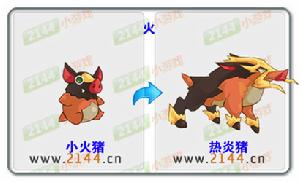 少年精靈王熱炎豬進化圖