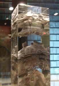 學院派玻璃藝術 學院派玻璃藝術