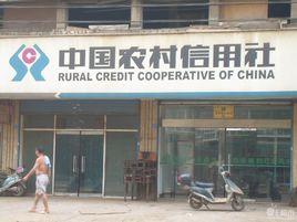 中國農村合作信用(銀行)社 中國農村合作信用(銀行)社