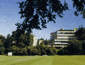 英國謝菲爾德大學