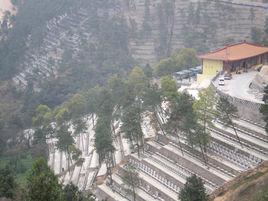 龍居山陵園 龍居山陵園
