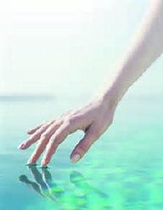 動物觸覺 動物觸覺