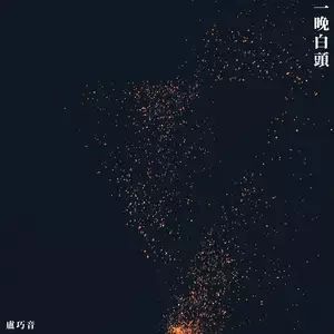 一晚白頭 一晚白頭