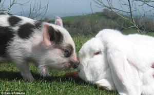 （圖）“讓我看看你在吃什麼好東西？”