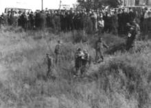 梁旭東[長春黑幫分子]