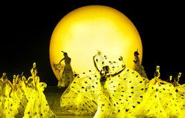 《雲南印象》 《雲南印象》