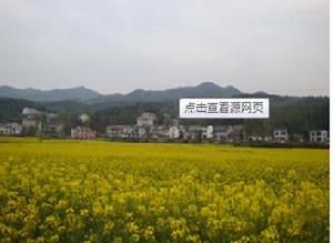 農作物經濟發展