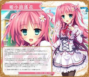 大小姐和秘密少女