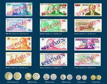 新土耳其里拉的紙幣與硬幣