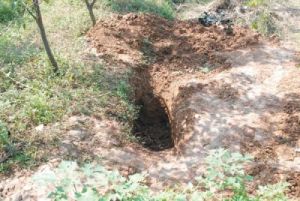 義地崗古墓群盜洞