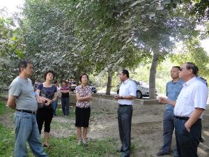 布扎克鄉 布扎克鄉