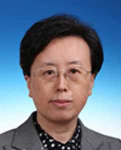 張敏[中央紀委駐國家稅務總局紀檢組組長]