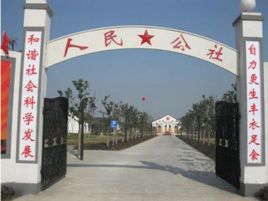 農村集體經濟組織 農村集體經濟組織