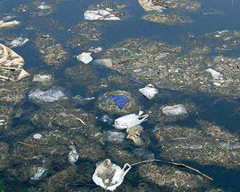 我國水污染的概況 我國水污染的概況