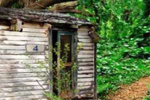 樹林小木屋 樹林小木屋