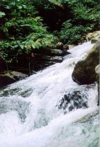 廣西通靈大瀑布 廣西通靈大瀑布