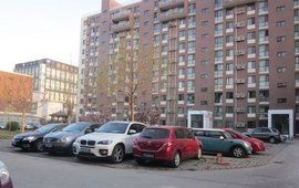 天恆花園 天恆花園