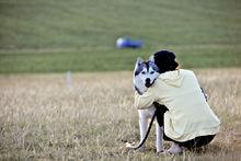圖片銀行作品展