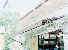 他愛的是玫瑰，而你是薔薇