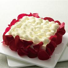 壹點壹客玫瑰情人