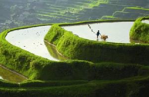 紀錄片《美麗中國》插圖