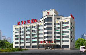 武漢京軍精神病研究院 武漢京軍精神病研究院