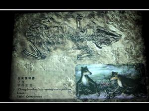 五尖張和獸 五尖張和獸