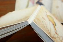 裸脊鎖線裝訂的書籍