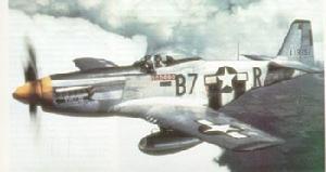 P-51 D “野馬”