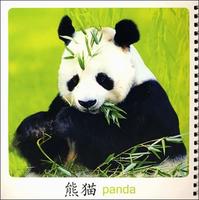 我的第一本早教塑膠書&middot;成長啟蒙童話