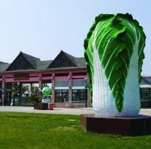 上海都市菜園 上海都市菜園