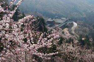 甘肅省桃花溝國家森林公園 甘肅省桃花溝國家森林公園