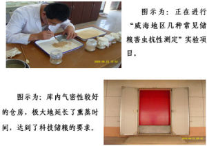 中央儲備糧乳山直屬庫