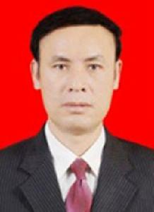 劉星[廣東省陽江高新區管委會副主任]