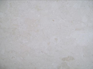 香草米黃 香草米黃