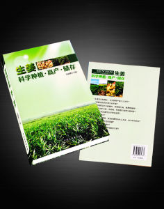 《生薑科學種植·高產·儲存》 《生薑科學種植·高產·儲存》