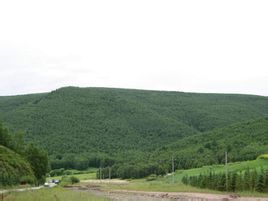 塞罕壩機械林場虛擬鎮 塞罕壩機械林場虛擬鎮