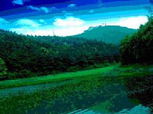 （圖）黃山頭國家森林公園